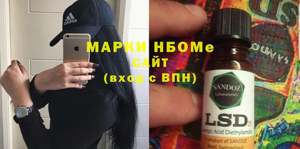 индика Ростов